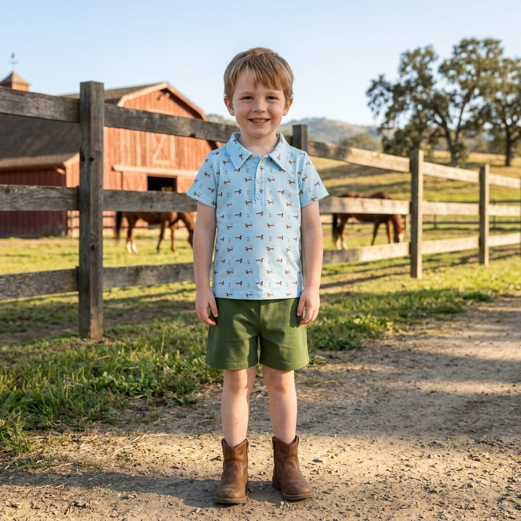 BSSO2041 Mallard Ducks Green Polo Boys Shorts Set