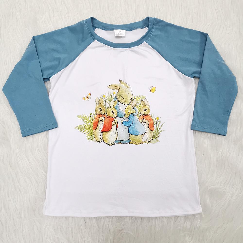 Easter Rabbits Boys Raglan Sleeve T-shirts